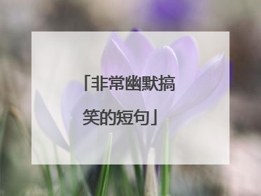 非常幽默搞笑的短句