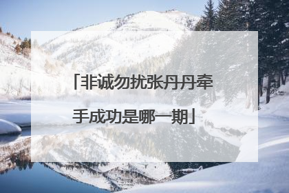 非诚勿扰张丹丹牵手成功是哪一期