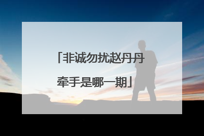 非诚勿扰赵丹丹牵手是哪一期