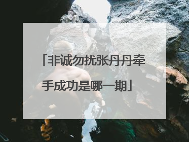 非诚勿扰张丹丹牵手成功是哪一期