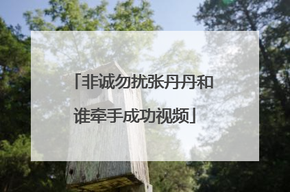 非诚勿扰张丹丹和谁牵手成功视频