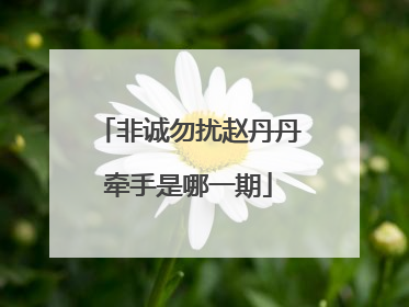 非诚勿扰赵丹丹牵手是哪一期