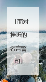 面对挫折的名言警句