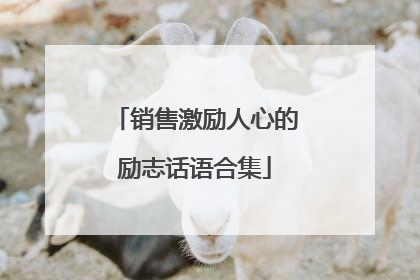 销售激励人心的励志话语合集