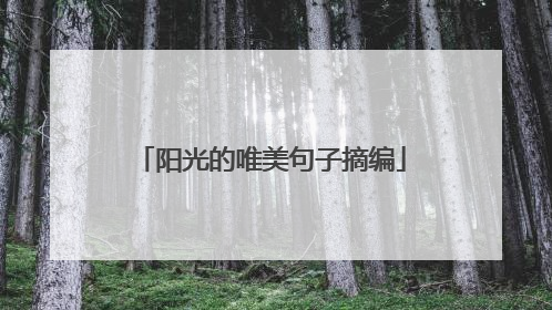 阳光的唯美句子摘编