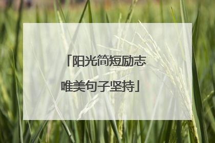 阳光简短励志唯美句子坚持