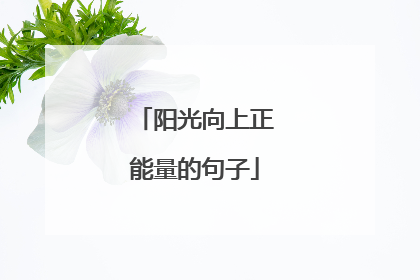 阳光向上正能量的句子