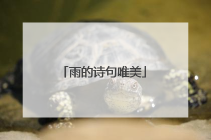 雨的诗句唯美