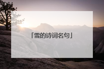 雪的诗词名句