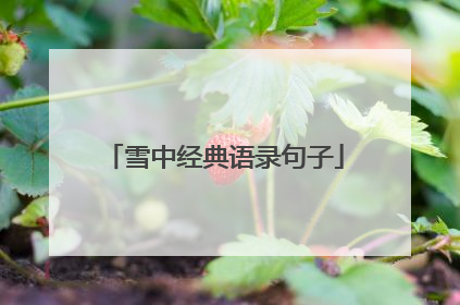 雪中经典语录句子