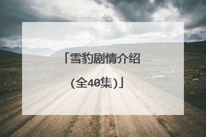 雪豹剧情介绍(全40集)