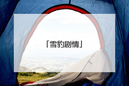 雪豹剧情