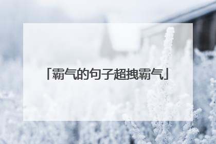霸气的句子超拽霸气