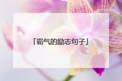 霸气的励志句子
