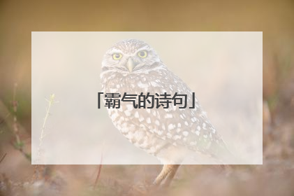 霸气的诗句