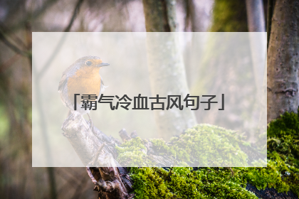 霸气冷血古风句子
