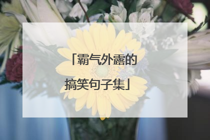 霸气外露的搞笑句子集