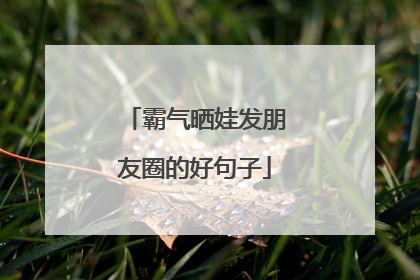 霸气晒娃发朋友圈的好句子