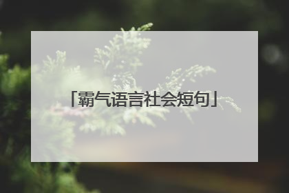 霸气语言社会短句