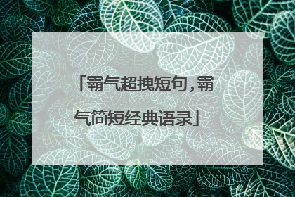 霸气超拽短句,霸气简短经典语录