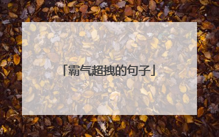 霸气超拽的句子
