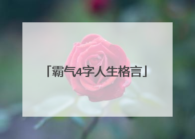霸气4字人生格言