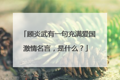 顾炎武有一句充满爱国激情名言，是什么？
