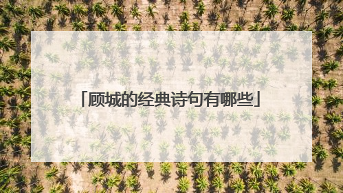 顾城的经典诗句有哪些