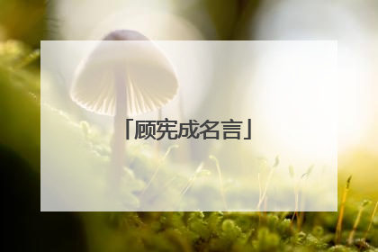 顾宪成名言