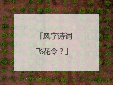 风字诗词飞花令?