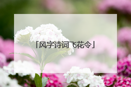 风字诗词飞花令