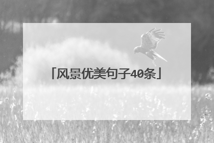 风景优美句子40条