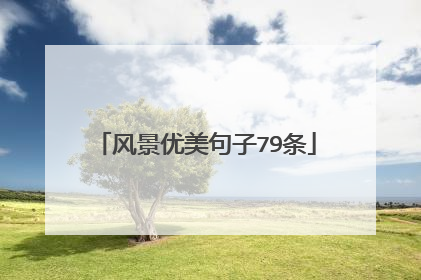 风景优美句子79条