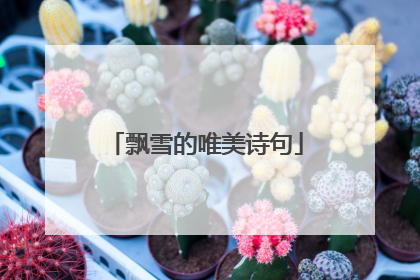 飘雪的唯美诗句