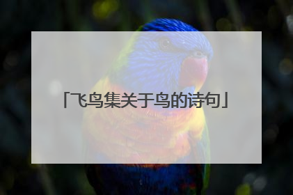 飞鸟集关于鸟的诗句