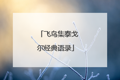 飞鸟集泰戈尔经典语录