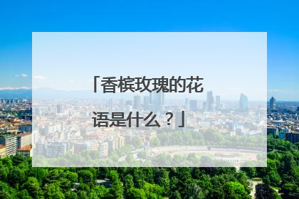 香槟玫瑰的花语是什么?