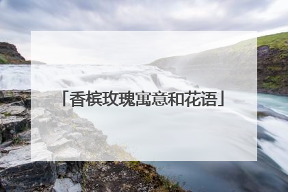 香槟玫瑰寓意和花语