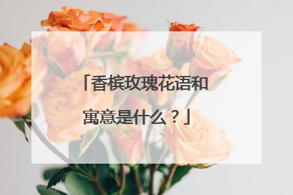 香槟玫瑰花语和寓意是什么?