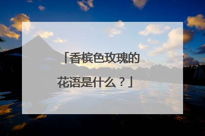 香槟色玫瑰的花语是什么?
