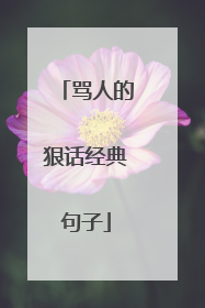 骂人的狠话经典句子