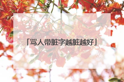 骂人带脏字越脏越好