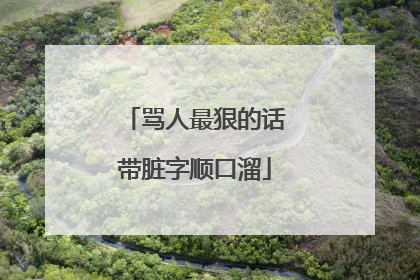 骂人最狠的话带脏字顺口溜