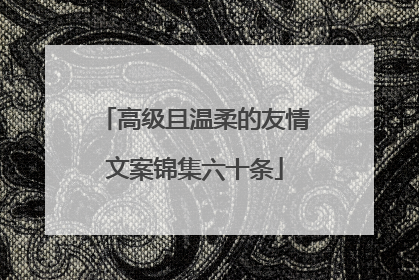 高级且温柔的友情文案锦集六十条