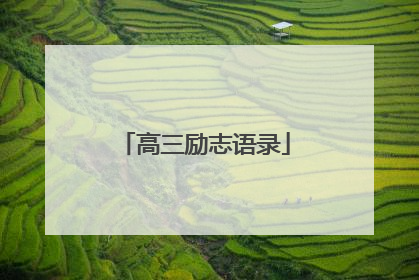 高三励志语录