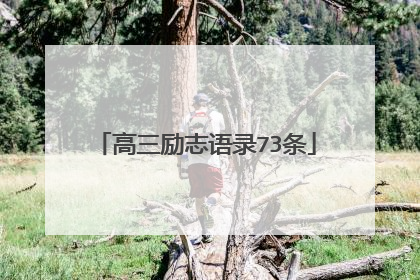 高三励志语录73条