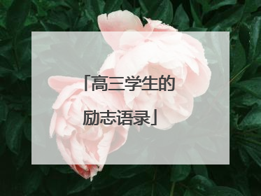 高三学生的励志语录