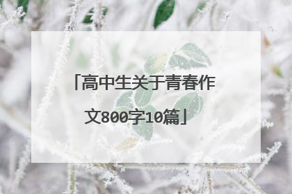 高中生关于青春作文800字10篇