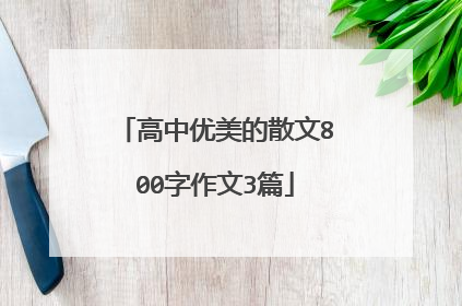 高中优美的散文800字作文3篇
