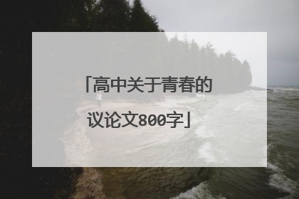 高中关于青春的议论文800字